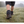 Standard Oilskin Sox Saver Overboot