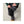 Hard Yakka Toughmaxx Lite Holster Pocket Pant - Graphite