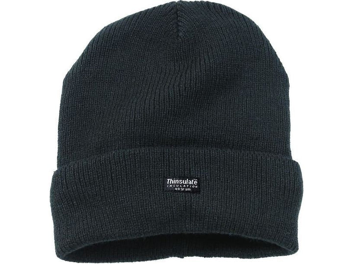 Thinsulate Knitted Hat - 401