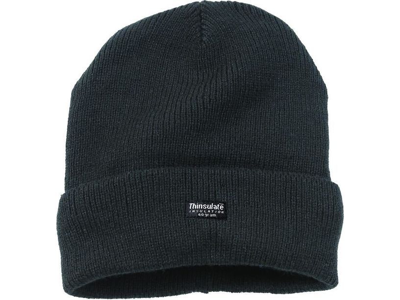 Thinsulate Knitted Hat - 401