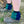 Navy and Green Sox Savers